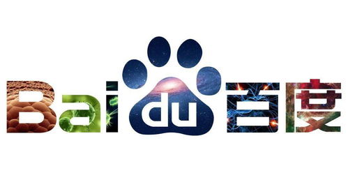 蜘蛛池怎么让网站快速收录